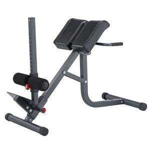 Купить Гиперэкстензия 2 в 1 (римский стул) Body Craft F670 в Саянске 